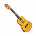 Woodstock Folk Guitar