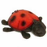 Twilight Ladybug