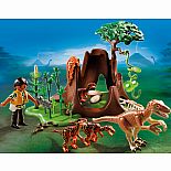 Deinonychus and Velociraptors