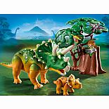 Explorer and Triceratops with