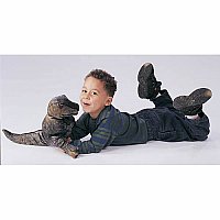 Tyrannasaurus Rex