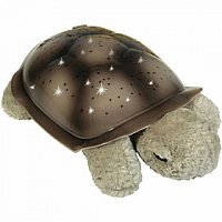 Twilight Turtle