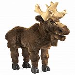 Moose