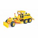CAT Grader