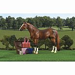 Show Grooming Kit