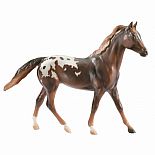 Classics Chestnut Appaloosa