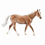 Classics Appendix Qtr Horse