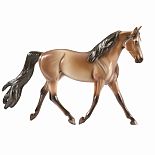 Classics Buckskin Morgan