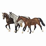 Classics 2010 World Equestrian
