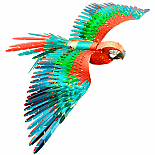 ICONX - Parrot