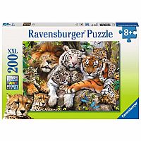 200pc Big Cat Nap