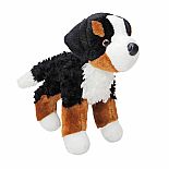 Miranda Bernese Mtn Dog