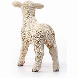 Lamb