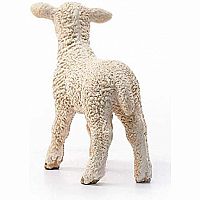 Lamb