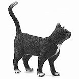 Cat Standing