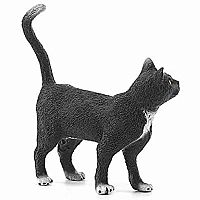 Cat Standing