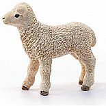 Lamb