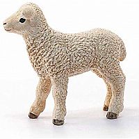 Lamb