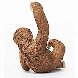 Sloth