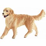 Golden Retriever, Female