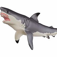 Great White Shark