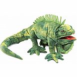 Iguana