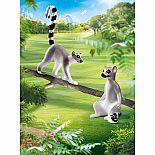 Lemurs