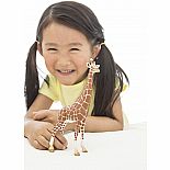 Giraffe, Female