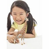 Giraffe, Female