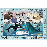 64pc Search & Find Arctic Life