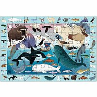 64pc Search & Find Arctic Life