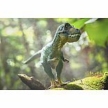 Tyrannosaurus Rex