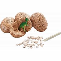 Dig It Up! Dinosaur Eggs