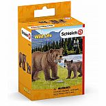 Grizzy Mother w/Cub