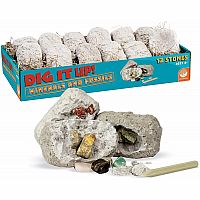 Dig It Up! Minerals & Fossils