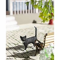 Cat Standing
