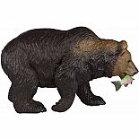 Grizzly Bear w/Fish