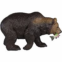 Grizzly Bear w/Fish