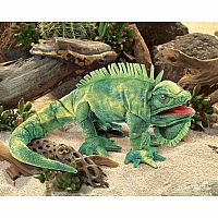 Iguana