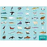 64pc Search & Find Arctic Life