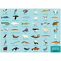 64pc Search & Find Arctic Life