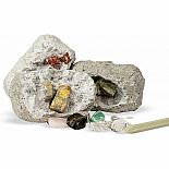 Dig It Up! Minerals & Fossils