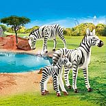Zebras with Foal
