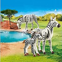 Zebras with Foal