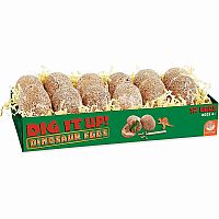 Dig It Up! Dinosaur Eggs