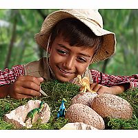 Dig It Up! Dinosaur Eggs