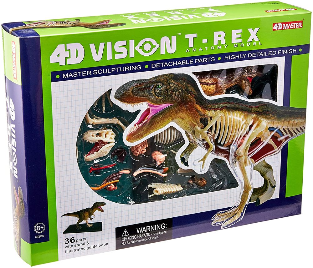 T rex hotsell anatomy kit
