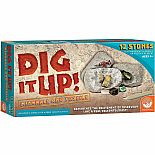 Dig It Up! Minerals & Fossils