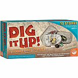 Dig It Up! Minerals & Fossils