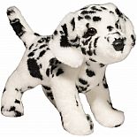 Evie Dalmation